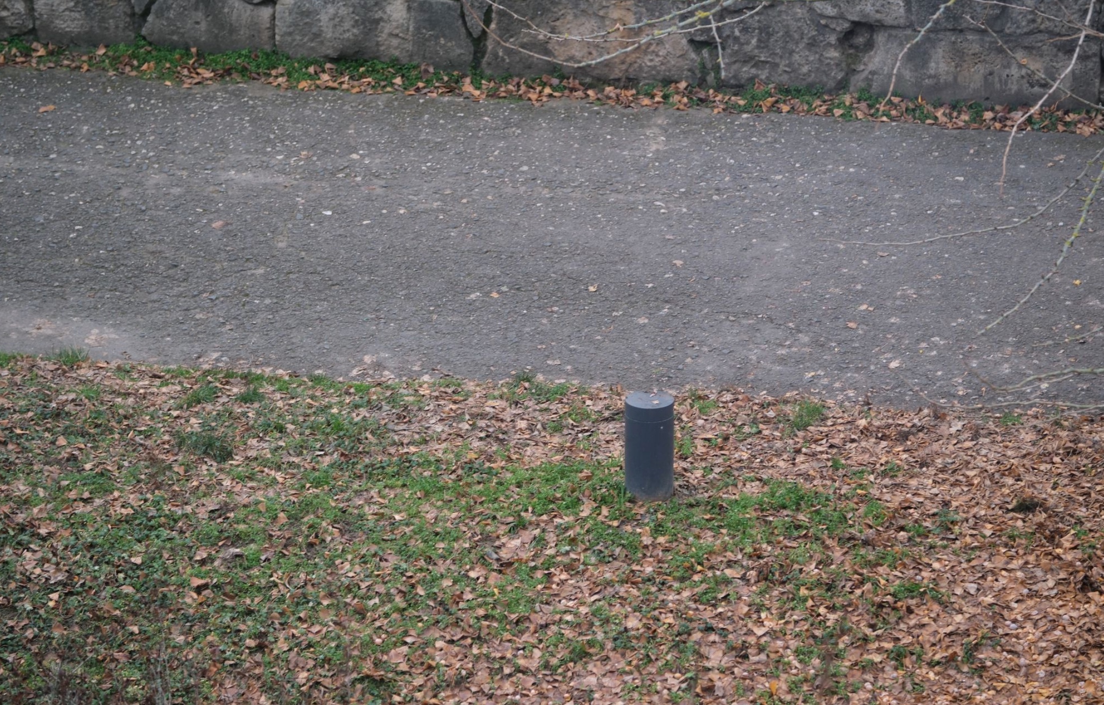 Autumn path with fallen leaves - Photo by Adam 🍂